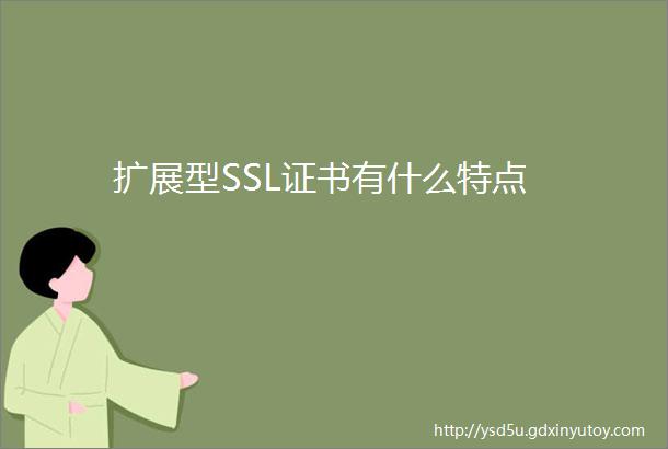 扩展型SSL证书有什么特点
